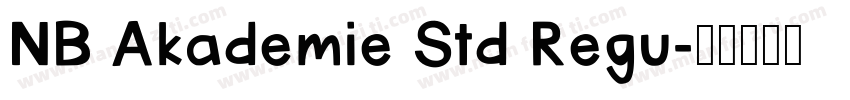 NB Akademie Std Regu字体转换
